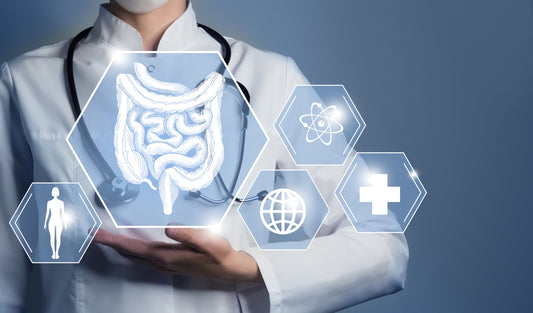 Gut Health Protocol