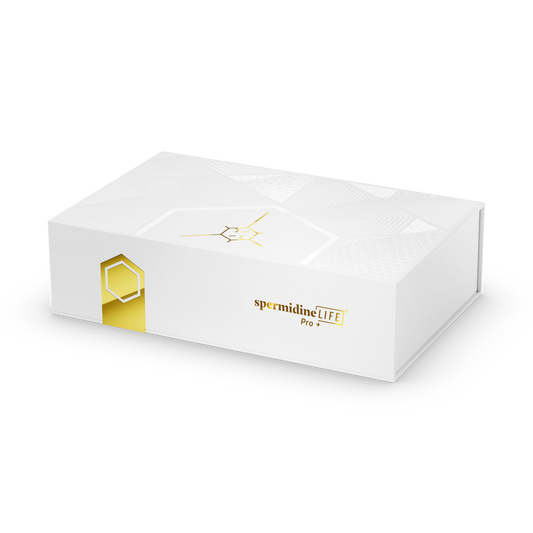 A white rectangular box adorned with the text "SpermidineLife PRO+ 4800mg | 30 Pack" from Longevity Labs, Inc features gold accents and a geometric design, emphasizing its contribution to autophagy promotion.