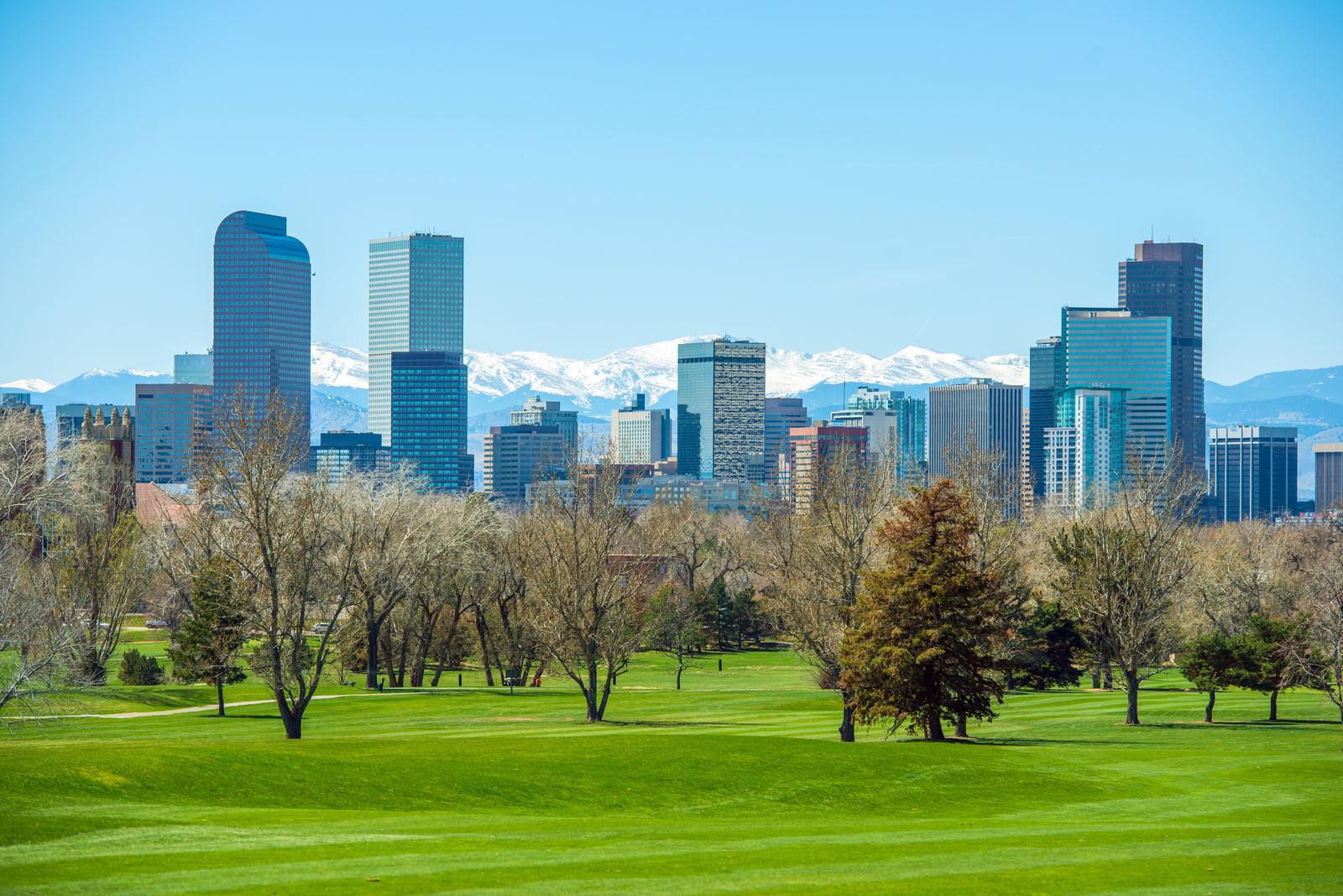 A green grassy field with a city skyline in the background near Boulder Longevity Institute.