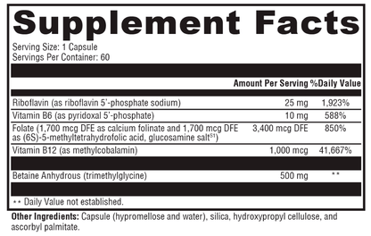 The Supplement Facts label for OHP Health MethylGenetic Pro (60 capsules) lists per-capsule amounts and % Daily Values of Riboflavin, Vitamin B6, Folate, Vitamin B12, and Betaine Anhydrous to support homocysteine metabolism and methylation. 60 servings per container.