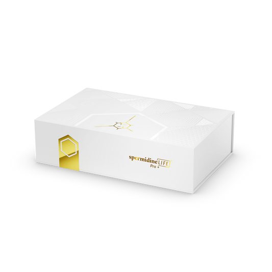 A white rectangular box adorned with the text "SpermidineLife PRO+ 4800mg | 30 Pack" from Longevity Labs, Inc features gold accents and a geometric design, emphasizing its contribution to autophagy promotion.