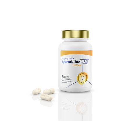A bottle labeled "spermidineLIFE® Extra+ 1300mg Dietary Supplement" from Longevity Labs, Inc., containing 60 vegan capsules with the CelVio® Complex for enhanced spermidine supplementation. Three capsules are placed next to the bottle on a white surface.